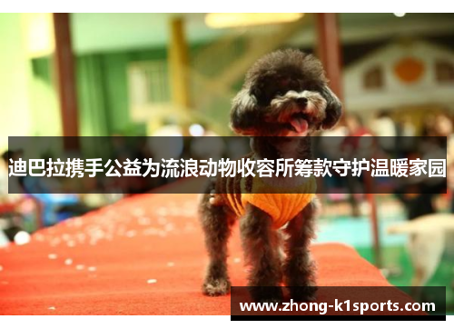 迪巴拉携手公益为流浪动物收容所筹款守护温暖家园 迪巴拉携手公益为流浪动物收容所筹款守护温暖家园