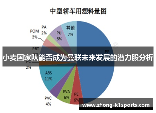 小麦国家队能否成为曼联未来发展的潜力股分析 小麦国家队能否成为曼联未来发展的潜力股分析